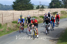 Load image into Gallery viewer, Republic of Anaerobia Bib Shorts for Men and Women